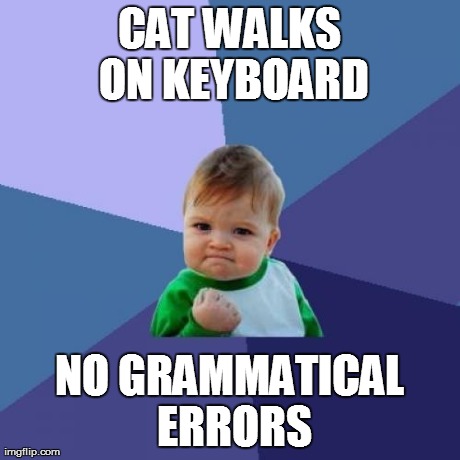 Success Kid Meme | CAT WALKS ON KEYBOARD NO GRAMMATICAL ERRORS | image tagged in memes,success kid | made w/ Imgflip meme maker