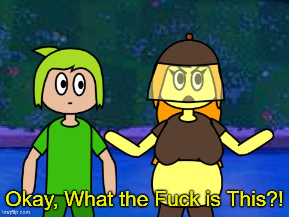 Plantern What The Fuck Is This Blank Template Imgflip