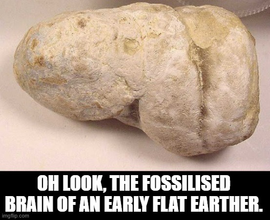 Image Tagged In Coprolite Primitive Flat Earther Brain Imgflip