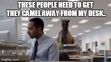 Hump Day! | THESE PEOPLE NEED TO GET THEY CAMEL AWAY FROM MY DESK.. | image tagged in work,camera,good guy boss | made w/ Imgflip meme maker