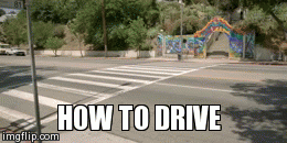 How to Drive