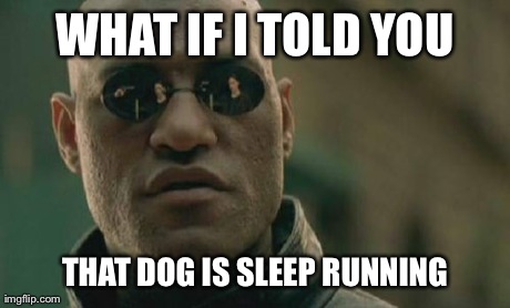 WHAT IF I TOLD YOU THAT DOG IS SLEEP RUNNING | image tagged in memes,matrix morpheus | made w/ Imgflip meme maker