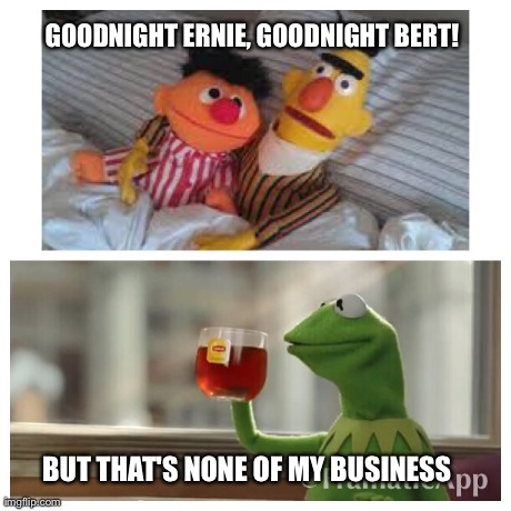 That's none of my business | GOODNIGHT ERNIE, GOODNIGHT BERT! BUT THAT'S NONE OF MY BUSINESS | image tagged in kermit,bert,ernie,sesame street,instagram,facebook | made w/ Imgflip meme maker