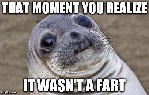 Awkward Moment Sealion | THAT MOMENT YOU REALIZE IT WASN'T A FART | image tagged in memes,awkward moment sealion,funny,animals | made w/ Imgflip meme maker