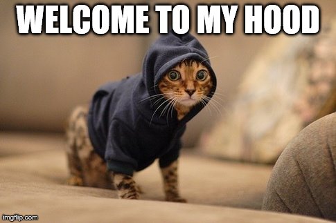 Hoody Cat | WELCOME TO MY HOOD | image tagged in memes,hoody cat | made w/ Imgflip meme maker