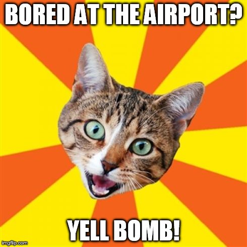 Bad Advice Cat | BORED AT THE AIRPORT? YELL BOMB! | image tagged in memes,bad advice cat | made w/ Imgflip meme maker