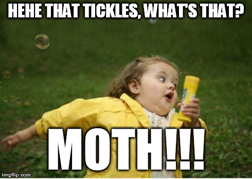 Not keen on moths to be fair... | HEHE THAT TICKLES, WHAT'S THAT? MOTH!!! | image tagged in memes,chubby bubbles girl | made w/ Imgflip meme maker