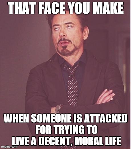 Decent, Moral Life | THAT FACE YOU MAKE WHEN SOMEONE IS ATTACKED FOR TRYING TO LIVE A DECENT, MORAL LIFE | image tagged in memes,face you make robert downey jr | made w/ Imgflip meme maker