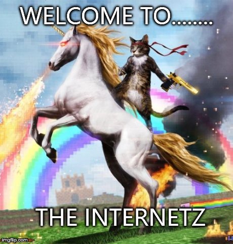 Welcome To The Internets