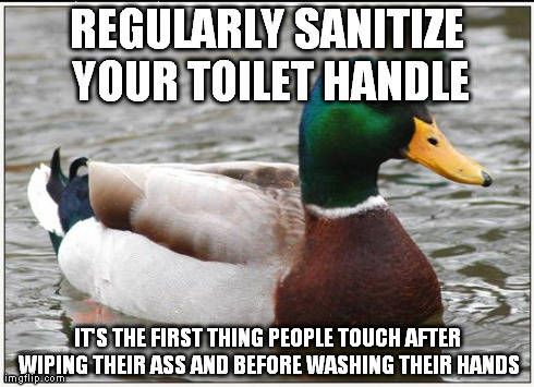 Advice for anyone who owns a toilet