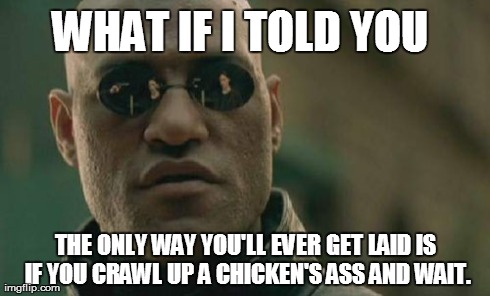 Matrix Morpheus | WHAT IF I TOLD YOU THE ONLY WAY YOU'LL EVER GET LAID IS IF YOU CRAWL UP A CHICKEN'S ASS AND WAIT. | image tagged in memes,matrix morpheus | made w/ Imgflip meme maker