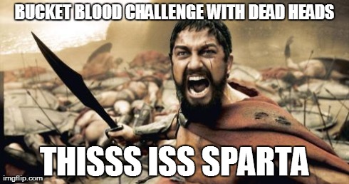 Sparta Leonidas | BUCKET BLOOD CHALLENGE WITH DEAD HEADS THISSS ISS SPARTA | image tagged in memes,sparta leonidas | made w/ Imgflip meme maker
