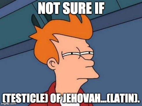 NOT SURE IF (TESTICLE) OF JEHOVAHâ€¦(LATIN). | image tagged in memes,futurama fry | made w/ Imgflip meme maker