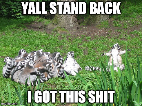 they be actin a fool | YALL STAND BACK I GOT THIS SHIT | image tagged in memes,lemur,tough guy,handle business,animals | made w/ Imgflip meme maker