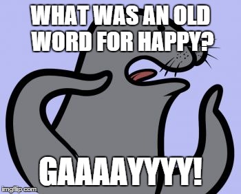 Homophobic Seal | WHAT WAS AN OLD WORD FOR HAPPY? GAAAAYYYY! | image tagged in memes,homophobic seal | made w/ Imgflip meme maker