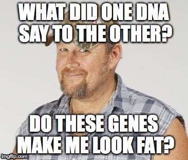 Larry The Cable Guy Meme | WHAT DID ONE DNA SAY TO THE OTHER? DO THESE GENES MAKE ME LOOK FAT? | image tagged in memes,larry the cable guy | made w/ Imgflip meme maker