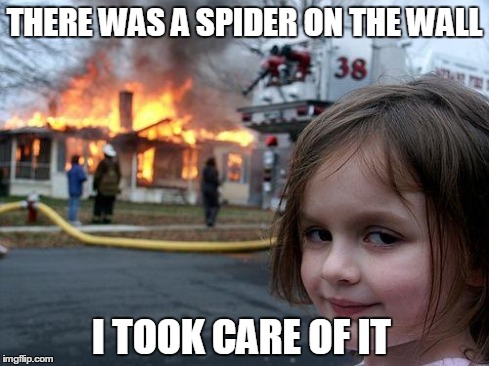 Disaster Girl | THERE WAS A SPIDER ON THE WALL I TOOK CARE OF IT | image tagged in memes,disaster girl | made w/ Imgflip meme maker