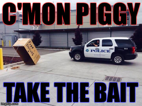 C'mon piggy | C'MON PIGGY TAKE THE BAIT | image tagged in pig,cops | made w/ Imgflip meme maker