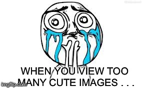 Cuteness Overload | WHEN YOU VIEW TOO MANY CUTE IMAGES . . . | image tagged in memes,crying because of cute | made w/ Imgflip meme maker