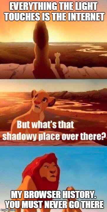 dirty mufasa. | EVERYTHING THE LIGHT TOUCHES IS THE INTERNET MY BROWSER HISTORY. YOU MUST NEVER GO THERE | image tagged in memes,simba shadowy place | made w/ Imgflip meme maker