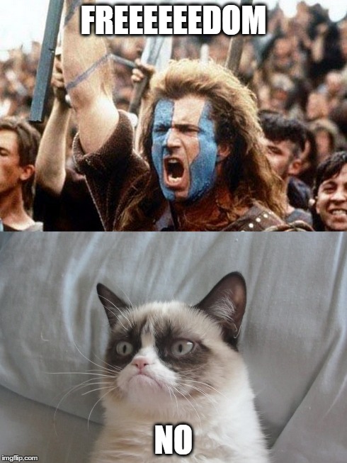 Freedom | FREEEEEEDOM NO | image tagged in grumpy cat,scotland,william wallace,meme,grumpy cat no,grumpy cat meets william wallace | made w/ Imgflip meme maker