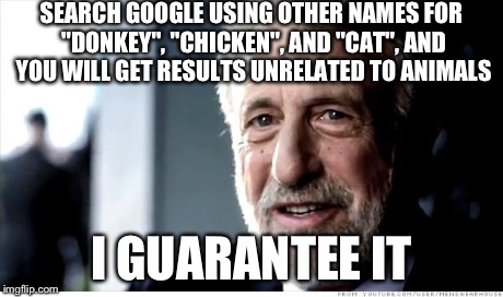 Google has a dirty mind. | SEARCH GOOGLE USING OTHER NAMES FOR "DONKEY", "CHICKEN", AND "CAT", AND YOU WILL GET RESULTS UNRELATED TO ANIMALS I GUARANTEE IT | image tagged in memes,i guarantee it,funny,google | made w/ Imgflip meme maker