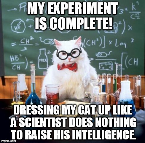 Chemistry Cat | MY EXPERIMENT IS COMPLETE! DRESSING MY CAT UP LIKE A SCIENTIST DOES NOTHING TO RAISE HIS INTELLIGENCE. | image tagged in memes,chemistry cat | made w/ Imgflip meme maker