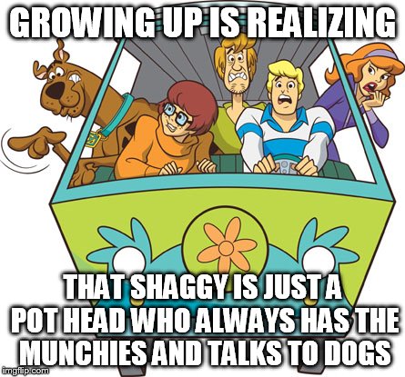 Scooby Doo | GROWING UP IS REALIZING THAT SHAGGY IS JUST A POT HEAD WHO ALWAYS HAS THE MUNCHIES AND TALKS TO DOGS | image tagged in memes,scooby doo | made w/ Imgflip meme maker