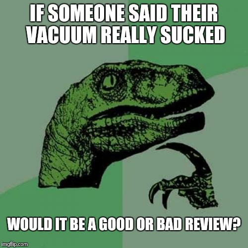 Philosoraptor | IF SOMEONE SAID THEIR VACUUM REALLY SUCKED WOULD IT BE A GOOD OR BAD REVIEW? | image tagged in memes,philosoraptor | made w/ Imgflip meme maker