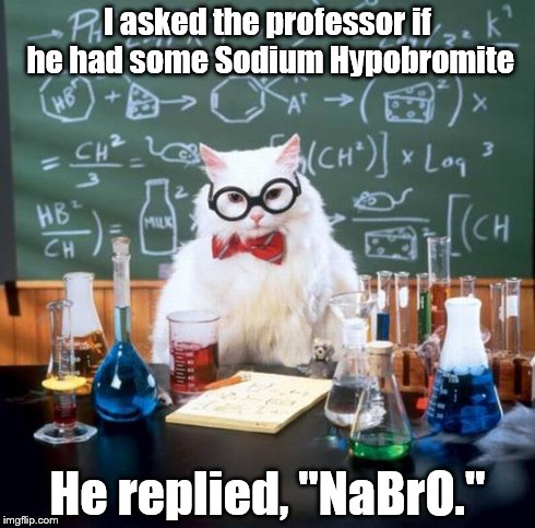 Chemistry Cat | I asked the professor if he had some Sodium Hypobromite He replied, "NaBrO." | image tagged in memes,chemistry cat | made w/ Imgflip meme maker