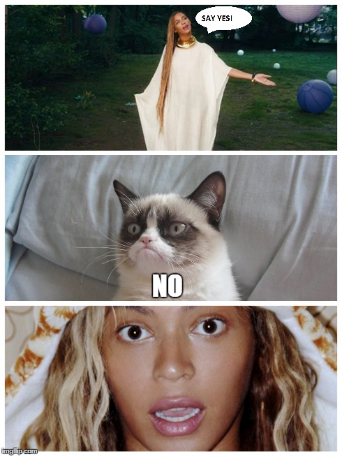 Grumpy cat meets Beyonce | NO | image tagged in grumpy cat,memes,beyonce,say yes,jesus | made w/ Imgflip meme maker