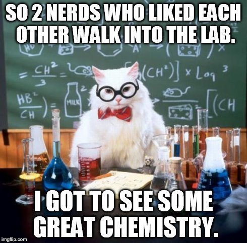 Chemistry Cat | SO 2 NERDS WHO LIKED EACH OTHER WALK INTO THE LAB. I GOT TO SEE SOME GREAT CHEMISTRY. | image tagged in memes,chemistry cat | made w/ Imgflip meme maker