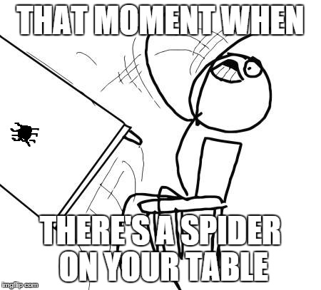 SPIDER!!! | THAT MOMENT WHEN THERE'S A SPIDER ON YOUR TABLE | image tagged in memes,table flip guy | made w/ Imgflip meme maker