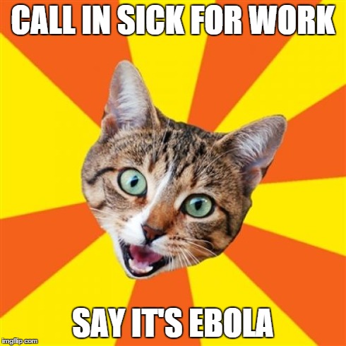 Trust me... This will work... | CALL IN SICK FOR WORK SAY IT'S EBOLA | image tagged in memes,bad advice cat,ebola,work,sick | made w/ Imgflip meme maker