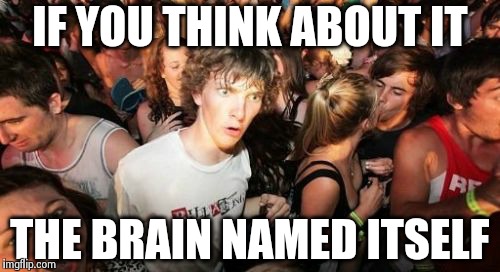 Sudden Clarity Clarence | IF YOU THINK ABOUT IT THE BRAIN NAMED ITSELF | image tagged in memes,sudden clarity clarence | made w/ Imgflip meme maker