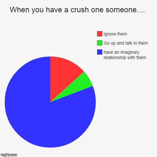 When you have a crush on someone... | image tagged in funny,pie charts | made w/ Imgflip chart maker
