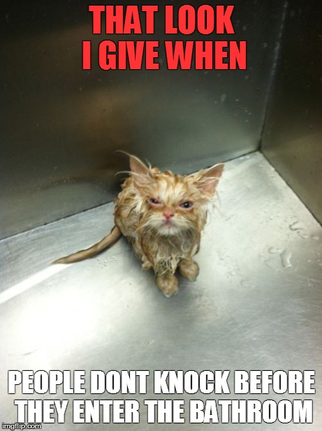 Kill You Cat | THAT LOOK I GIVE WHEN PEOPLE DONT KNOCK BEFORE THEY ENTER THE BATHROOM | image tagged in memes,kill you cat | made w/ Imgflip meme maker