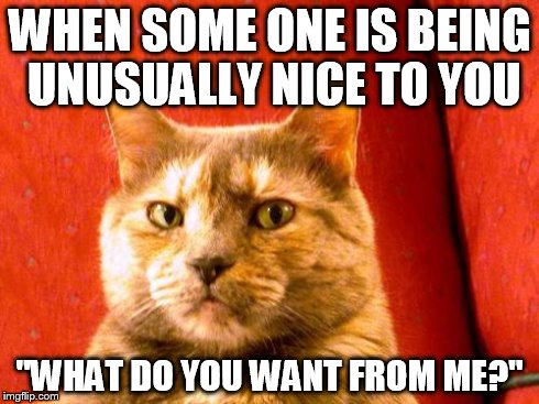 Suspicious Cat | WHEN SOME ONE IS BEING UNUSUALLY NICE TO YOU "WHAT DO YOU WANT FROM ME?" | image tagged in memes,suspicious cat | made w/ Imgflip meme maker