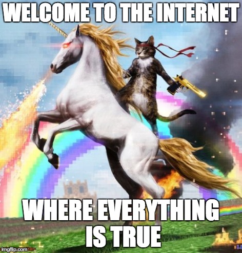Welcome To The Internets Meme | WELCOME TO THE INTERNET WHERE EVERYTHING IS TRUE | image tagged in memes,welcome to the internets | made w/ Imgflip meme maker