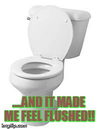 Toilet | ....AND IT MADE ME FEEL FLUSHED!! | image tagged in toilet | made w/ Imgflip meme maker