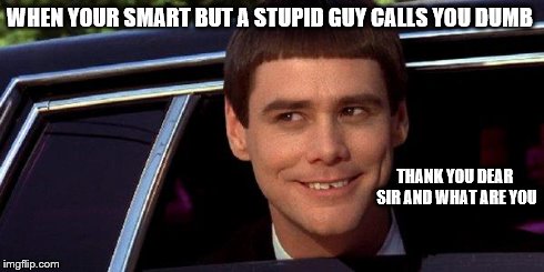 dumb and dumber | WHEN YOUR SMART BUT A STUPID GUY CALLS YOU DUMB THANK YOU DEAR SIR AND WHAT ARE YOU | image tagged in dumb and dumber | made w/ Imgflip meme maker