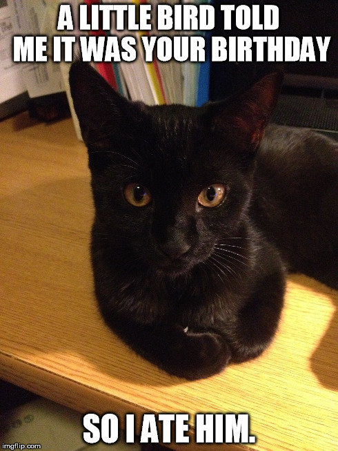 Happy birthday from Abby | A LITTLE BIRD TOLD ME IT WAS YOUR BIRTHDAY SO I ATE HIM. | image tagged in kitten,birthday | made w/ Imgflip meme maker