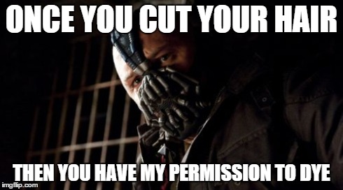 My parent's response to my sister when she asked for pink hair XD | ONCE YOU CUT YOUR HAIR THEN YOU HAVE MY PERMISSION TO DYE | image tagged in memes,permission bane,funny,dye,hair,lol | made w/ Imgflip meme maker