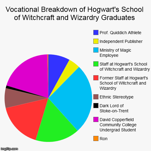 Vocational Breakdown of Hogwart's School of Witchcraft and Wizardry Graduates | image tagged in funny,pie charts,harry potter,voldemort,witch | made w/ Imgflip chart maker