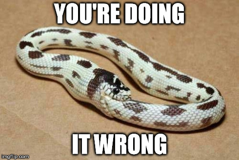 Wrong | YOU'RE DOING IT WRONG | image tagged in nope | made w/ Imgflip meme maker