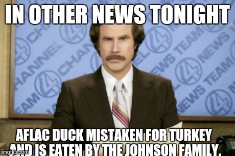 Aflac duck funny | IN OTHER NEWS TONIGHT AFLAC DUCK MISTAKEN FOR TURKEY AND IS EATEN BY THE JOHNSON FAMILY. | image tagged in memes,ron burgundy,funny memes,oblivious hot girl,comedy,pictures | made w/ Imgflip meme maker