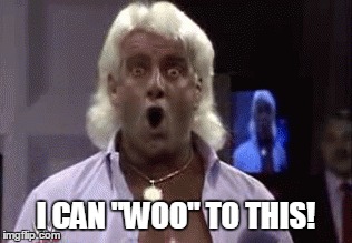 I CAN "WOO" TO THIS! | image tagged in memes,wwe,wwf,wrestling,ric flair | made w/ Imgflip meme maker