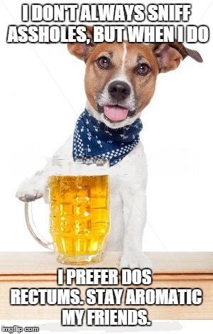 Dos Rectums | I DON'T ALWAYS SNIFF ASSHOLES, BUT WHEN I DO I PREFER DOS RECTUMS. STAY AROMATIC MY FRIENDS. | image tagged in dog,beer | made w/ Imgflip meme maker