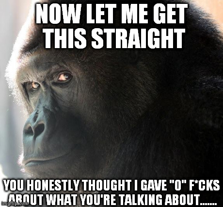 You Thought I Gave "0" F*cks | NOW LET ME GET THIS STRAIGHT YOU HONESTLY THOUGHT I GAVE "0" F*CKS ABOUT WHAT YOU'RE TALKING ABOUT....... | image tagged in funny,funny animals,getatme,gorilla,zerofcks | made w/ Imgflip meme maker
