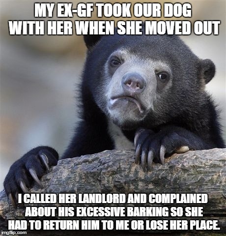 Confession Bear | MY EX-GF TOOK OUR DOG WITH HER WHEN SHE MOVED OUT I CALLED HER LANDLORD AND COMPLAINED ABOUT HIS EXCESSIVE BARKING SO SHE HAD TO RETURN HIM  | image tagged in memes,confession bear,AdviceAnimals | made w/ Imgflip meme maker